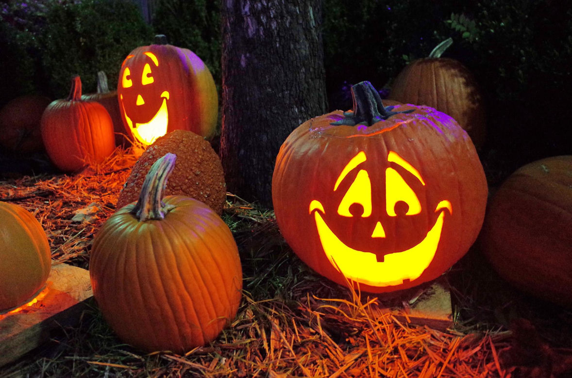 Dynia na Halloween - wzory. Zrób to sam