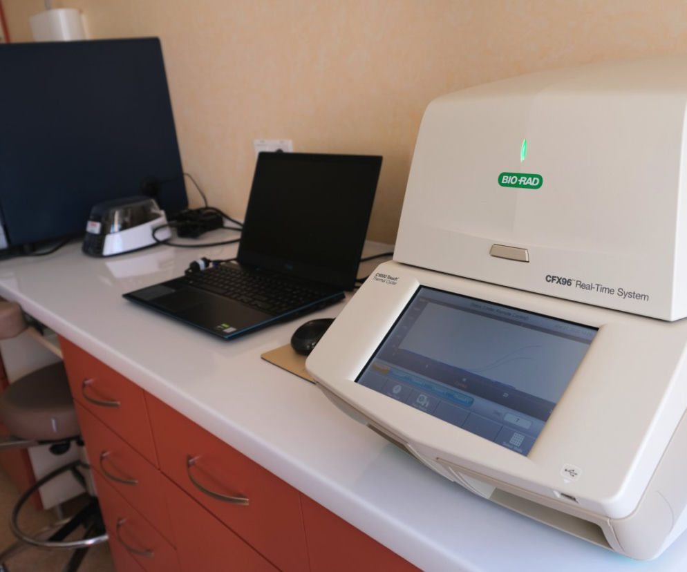 laboratorium koronawirus