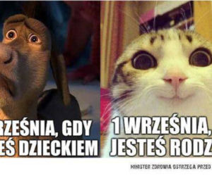Szkoła a koronawirus: MEMY. Wrzesień w szkole w oczach internautów [ZDJĘCIA]