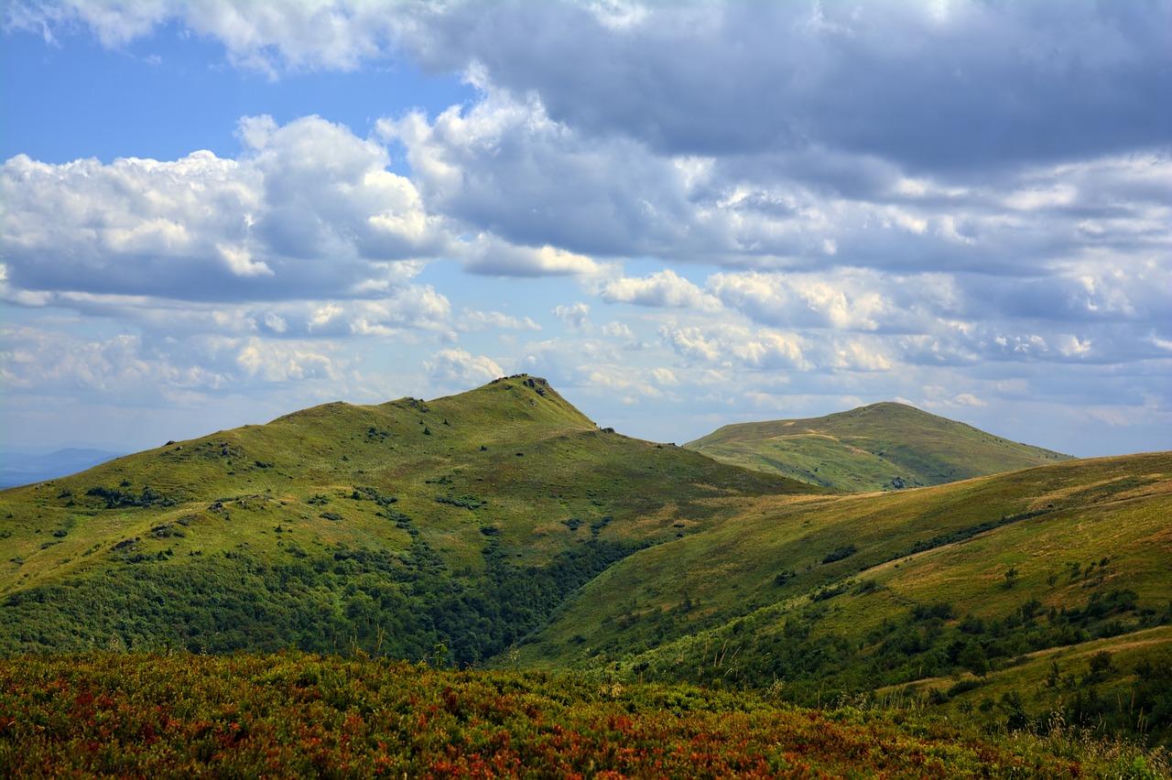 Tarnica - drogi krzyżowe