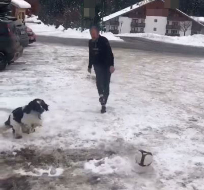 DONALD TUSK, PIES PIŁKA