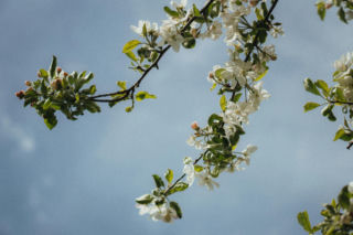 Pogoda w Polsce w nabliższych dniach będzie jak Afryce! Potężny problem pojawi się na południu Polski! Wiemy, kiedy i gdzie się zacznie 