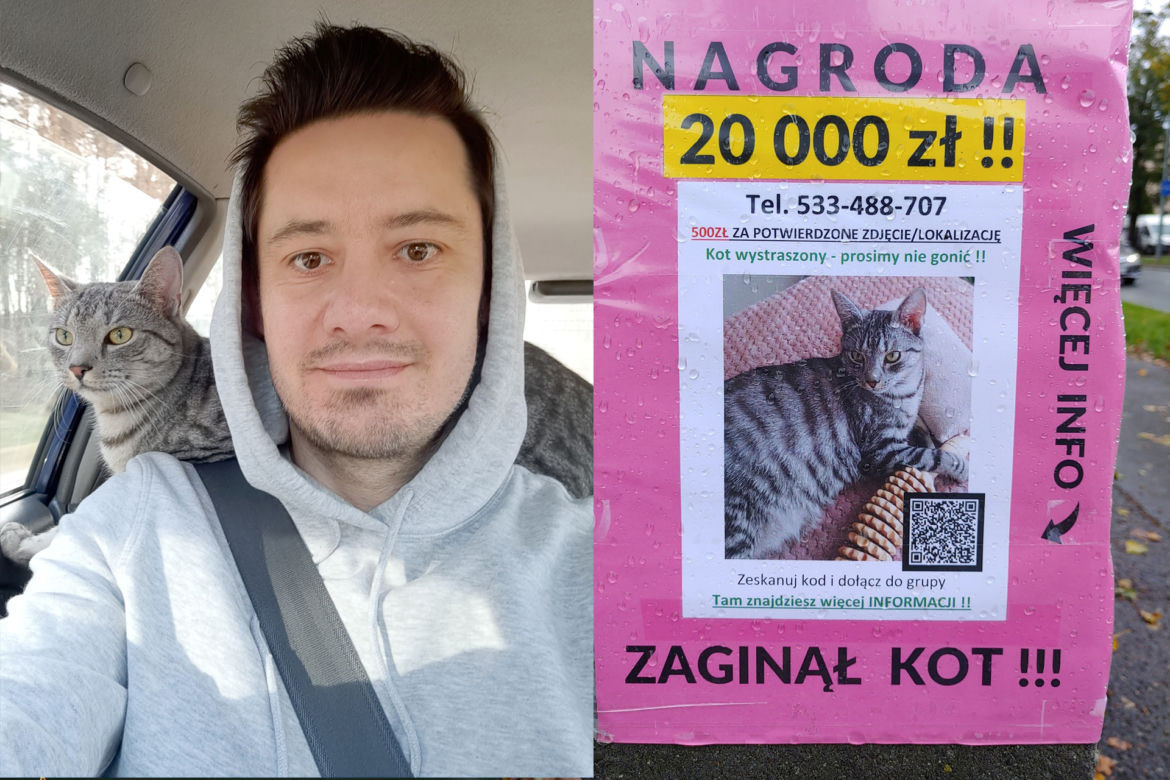 Zapłacą 20 000 zł za odnalezienie Tygrysa! Ich ukochanego pupila szuka pół Warszawy