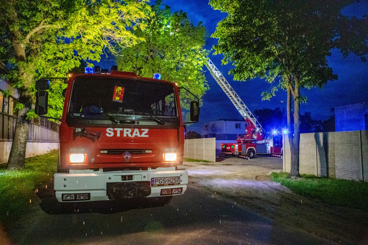 Kot przesiedział na drzewie kilkanaście godzin, nie potrafił sam zejść