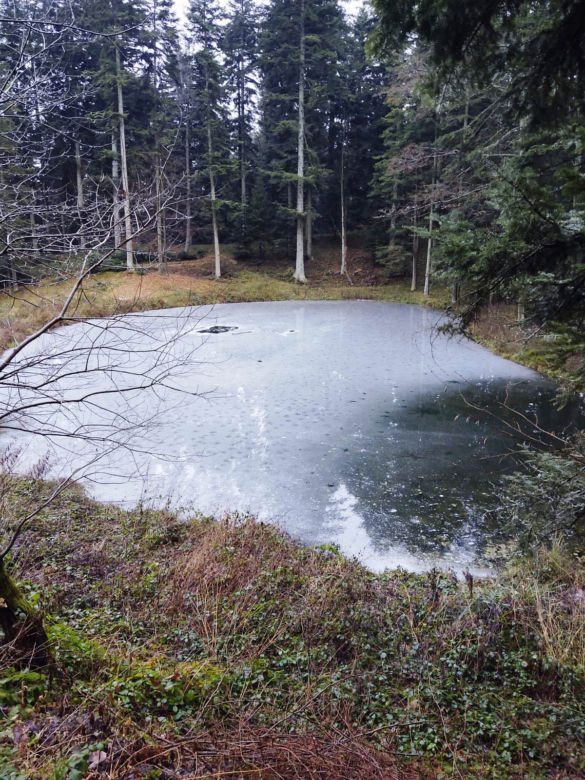 Zaginiona nastolatka z Florynki. Nurkowie szukali jej pod lodem