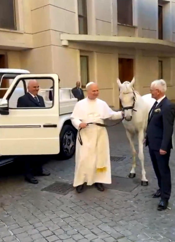Papież Leon XIV otrzymał w środę białego konia czystej krwi arabskiej ze stadniny w Kołobrzegu-Budzistowie