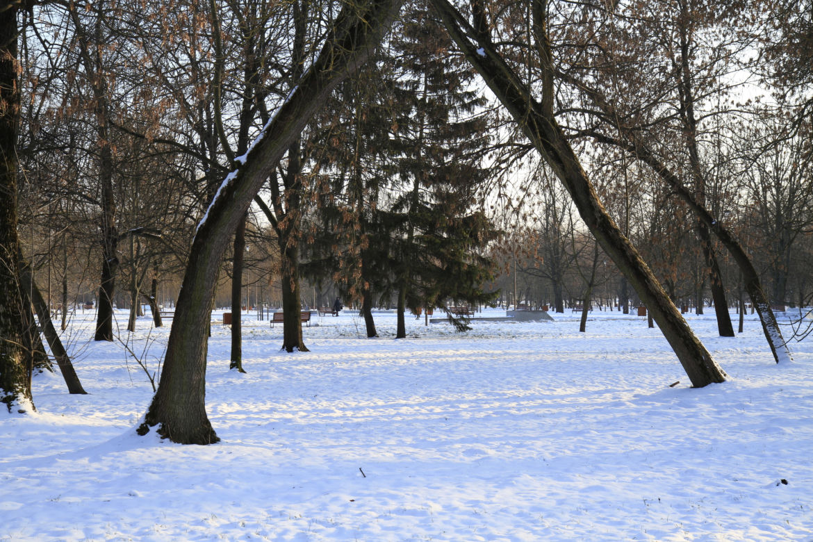 Park Ludowy w Lublinie oprószony śniegiem. Zobacz zdjęcia ze spaceru!