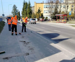 Sprzątanie miasta po zimie