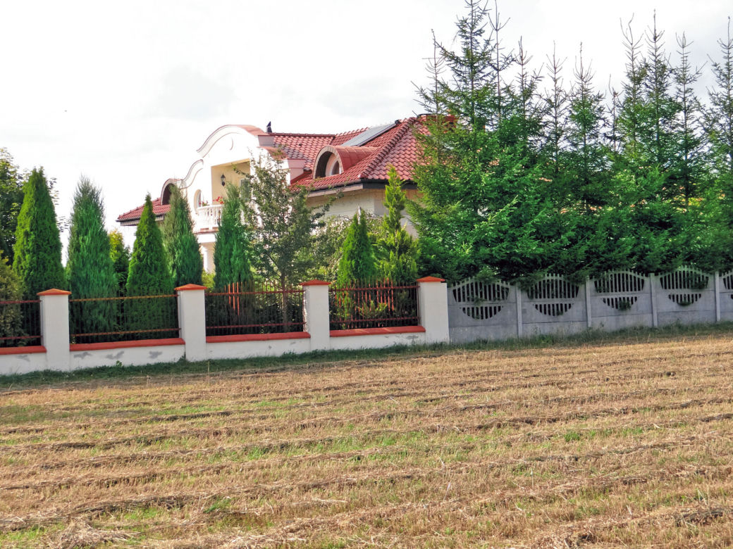 Chciwa komornica zajęła nam krowy