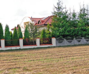 Chciwa komornica zajęła nam krowy
