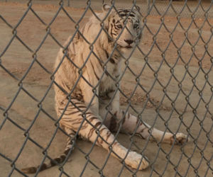 kilka zabawnych
