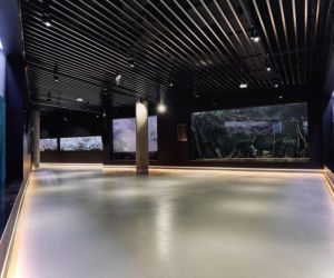 Egzotarium w Sosnowcu