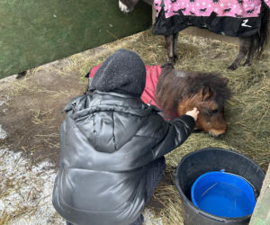 Joanna Krupa odwiedza schronisko dla zwierząt