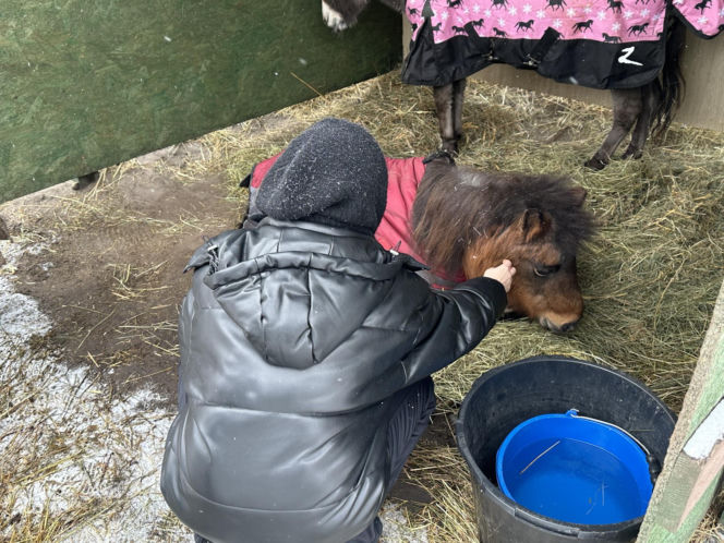 Joanna Krupa odwiedza schronisko dla zwierząt