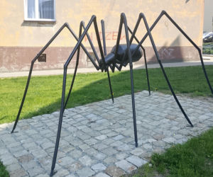 Jedno z najstarszych miast w Polsce leży w województwie łódzkim. Można w nim spotkać gigantycznego pająka!