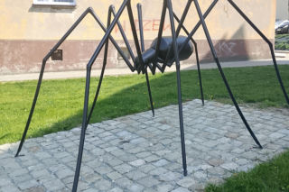 Jedno z najstarszych miast w Polsce leży w województwie łódzkim. Można w nim spotkać gigantycznego pająka!