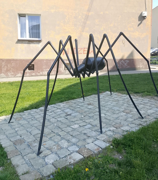 Jedno z najstarszych miast w Polsce leży w województwie łódzkim. Można w nim spotkać gigantycznego pająka!