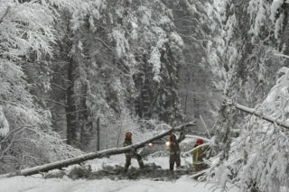 Interwencje strażaków po pierwszym ataku zimy  na Zamojszczyźnie