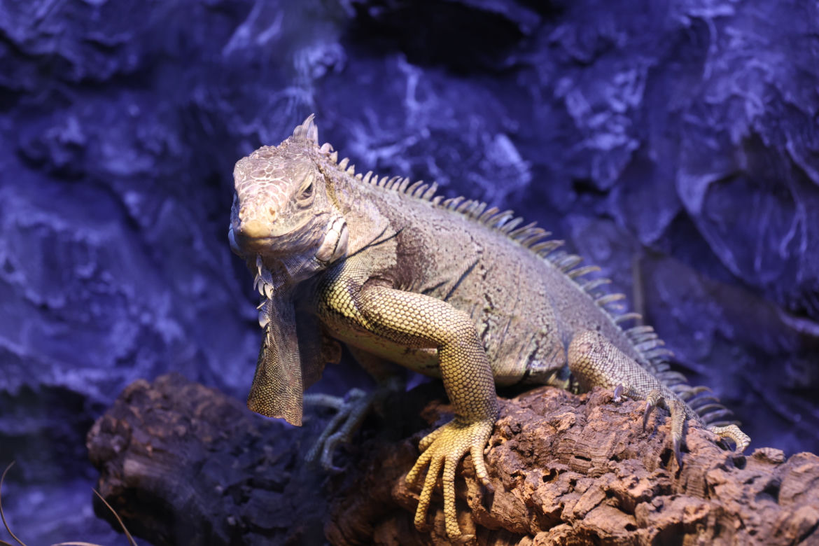 ZooPark 2023 w Lublinie przyciągnął tłumy!