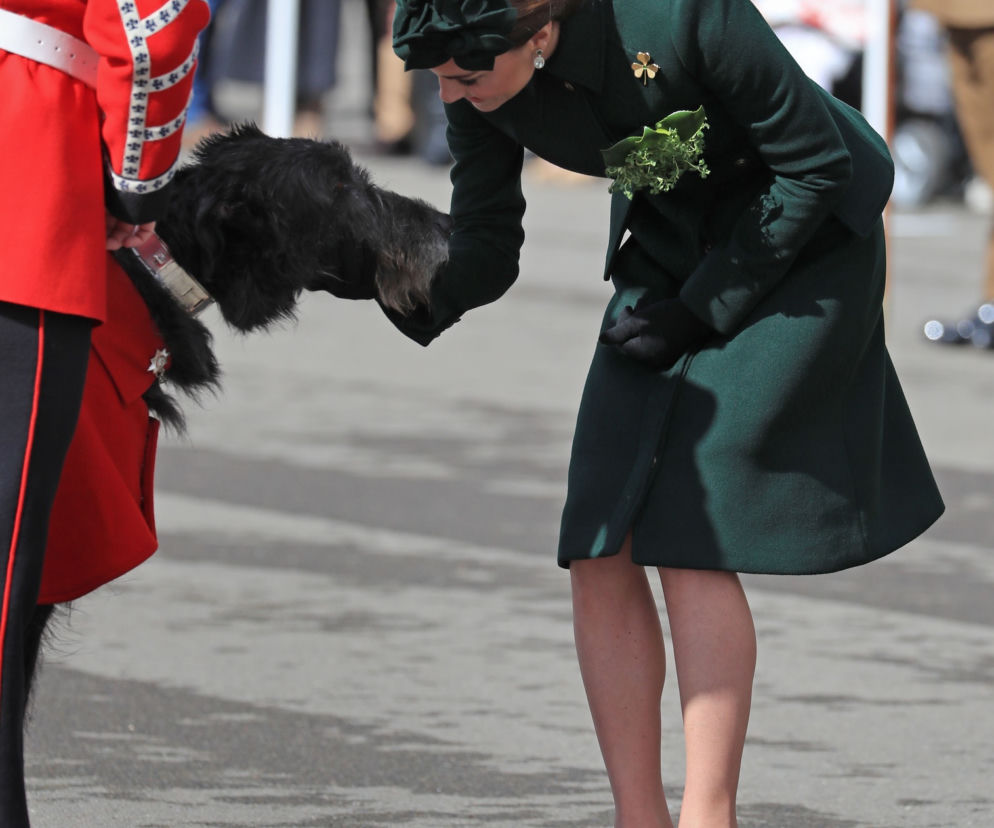Księżna Kate świętuje dzień świętego Patryka