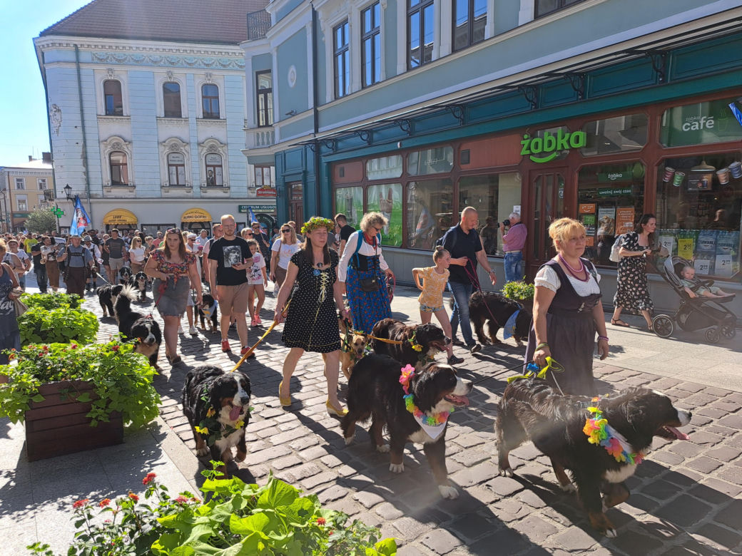 X Tarnowski Zjazd Berneńczyków 2023
