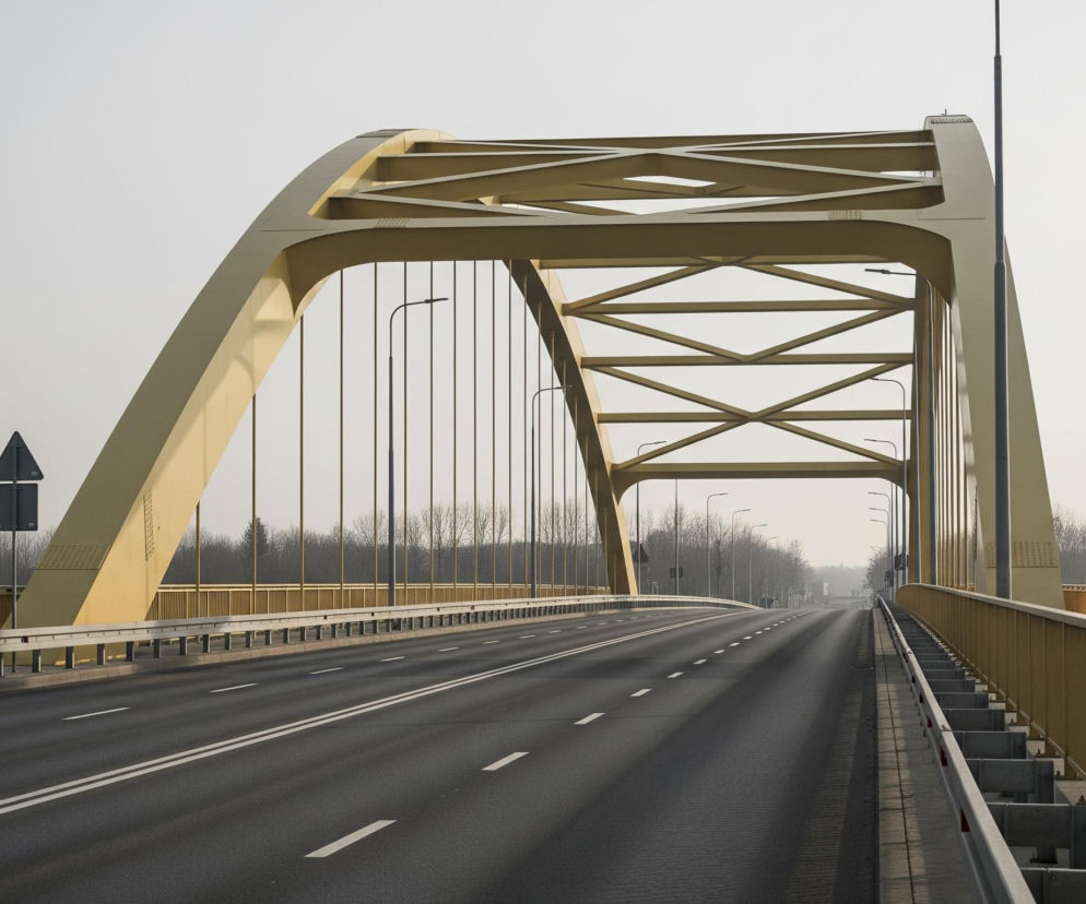 Pusty, czteropasmowy most o ciemnym asfalcie rozciąga się w głąb kadru, prowadząc pod monumentalną, żółtą konstrukcją łukową. Białe linie na jezdni wyznaczają pasy ruchu, biegnąc symetrycznie wzdłuż mostu. Po obu stronach mostu wznoszą się żółte, metalowe barierki, za którymi w oddali widoczny jest las bezlistnych drzew, zlewający się z mglistym, jasnoszarym niebem. Pionowe słupy oświetleniowe rozmieszczone są równomiernie wzdłuż mostu, a na lewej krawędzi kadru widać znak drogowy z dwoma czarnymi prostokątami.