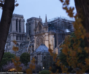 Katedra Notre Dame w Paryżu