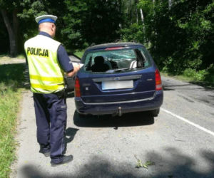 Kujawsko-pomorskie: Zasnął za kierownicą i uderzył w drzewo! Ranny 15-latek [ZDJĘCIA] 