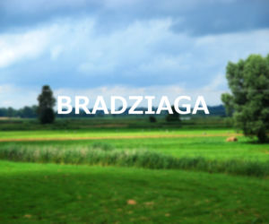 Bradziaga