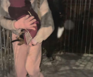 Doda ratuje psy przed mrozem