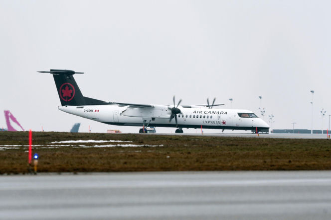 Stewardesa przeżyła katastrofę lotniczą. Ujawniono jej obrażenia