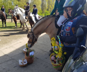 Święcenie pokarmów na koniach