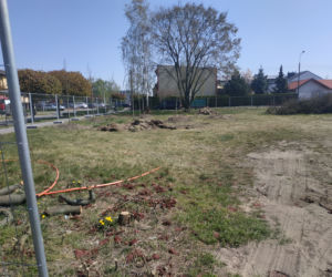 park Gronowo