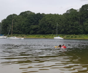 I Festiwal Psów Ratowniczych na plaży miejskiej w Żywcu