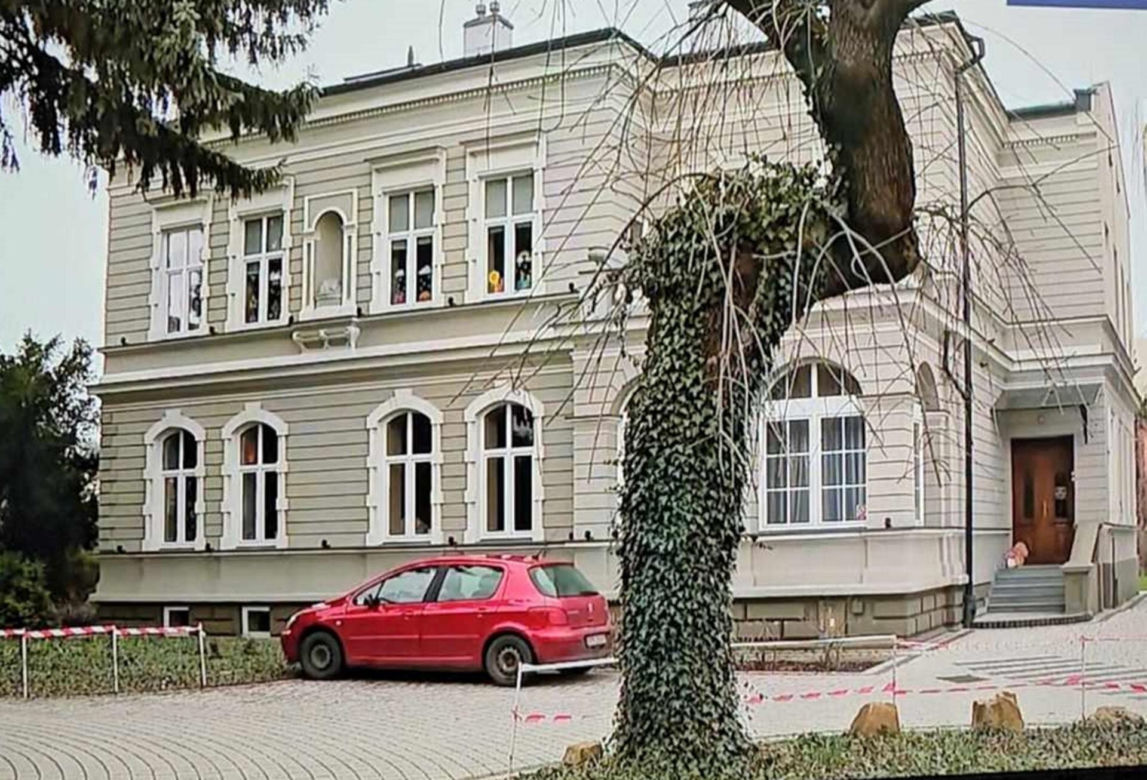 Podcięto drzewo, żeby spadło na dzieci