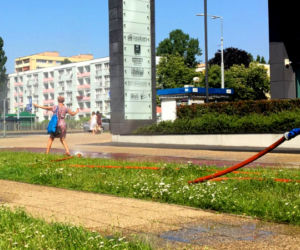 Kurtyny wodne w Szczecinie