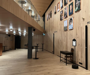 Teatr Miejski w Tallinie, proj. Salto arhitektuuribüroo