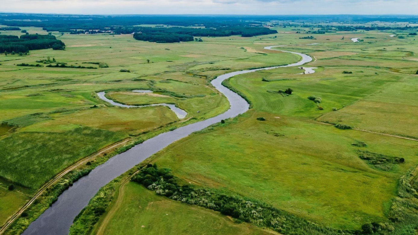 Rzeka Narew na Podlasiu