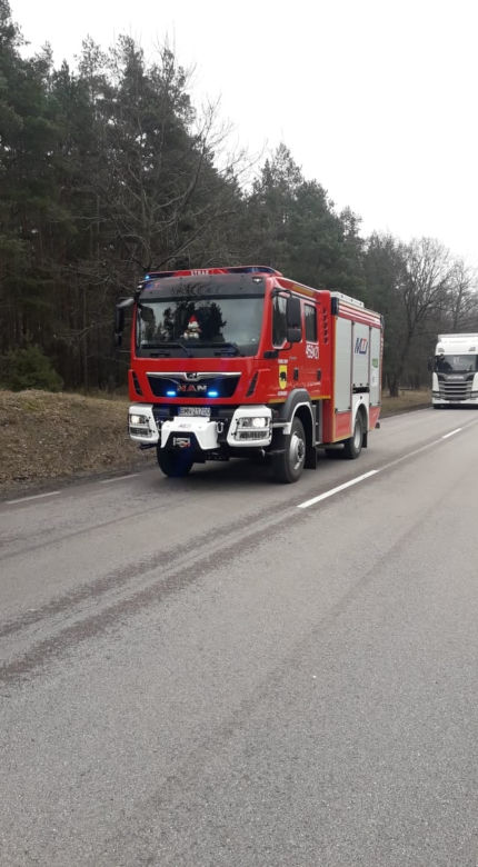 Wypadek śmiertelny w Białogrądach. Bus uderzył w drzewo. Zginął kierowca [ZDJĘCIA]