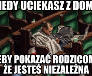 Mem o kryzysie w Sejmie