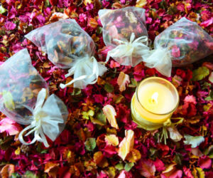 Potpourri 