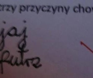 Nauczyciel płakał ze śmiechu jak sprawdzał. Te odpowiedzi z klasówek to HIT! [GALERIA]