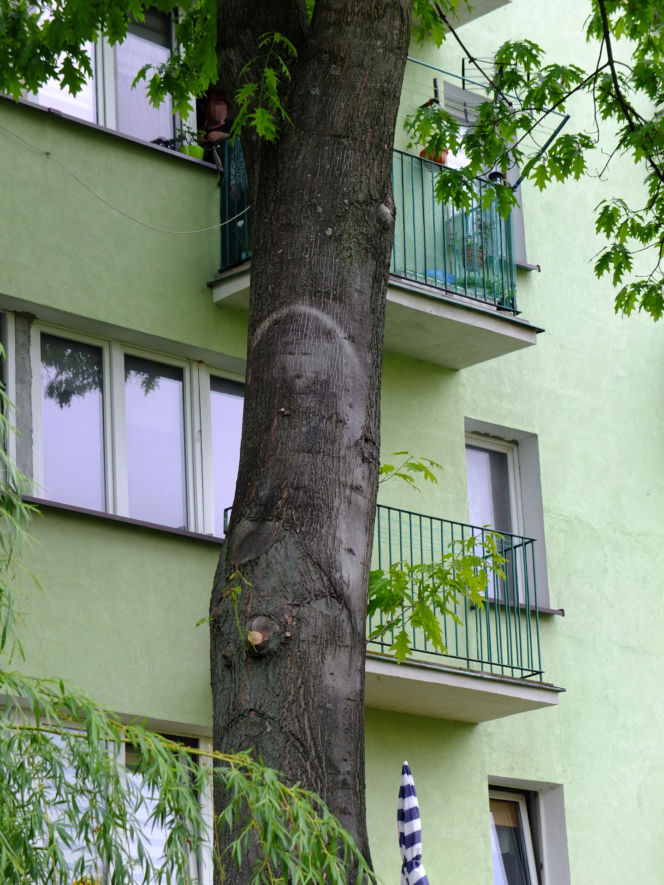 Cud w Parczewie? Modlitwy przy niezwykłym wizerunku. "Bóg chce nam coś powiedzieć"
