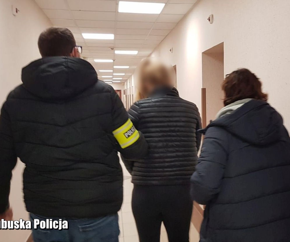 Oszuści oferowali na wynajem fikcyjne domki i apartamenty