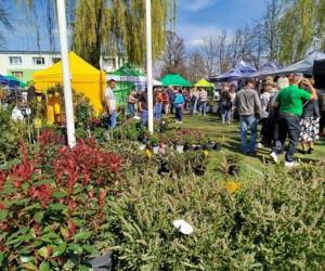 Impreza Wiosna na polu i w ogrodzie odbyła się w Siedlcach już po raz 18.