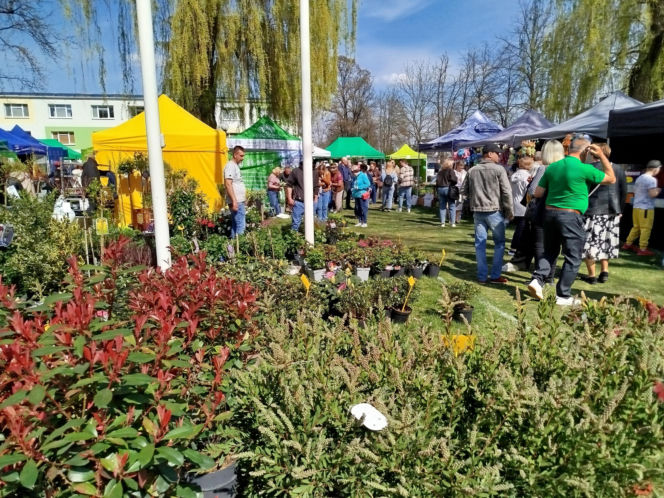 Impreza Wiosna na polu i w ogrodzie odbyła się w Siedlcach już po raz 18.