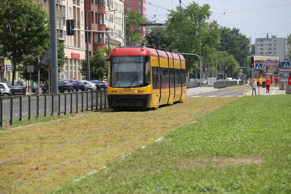 Torowisko na Grochowskiej w końcu pokrył rozchodnik