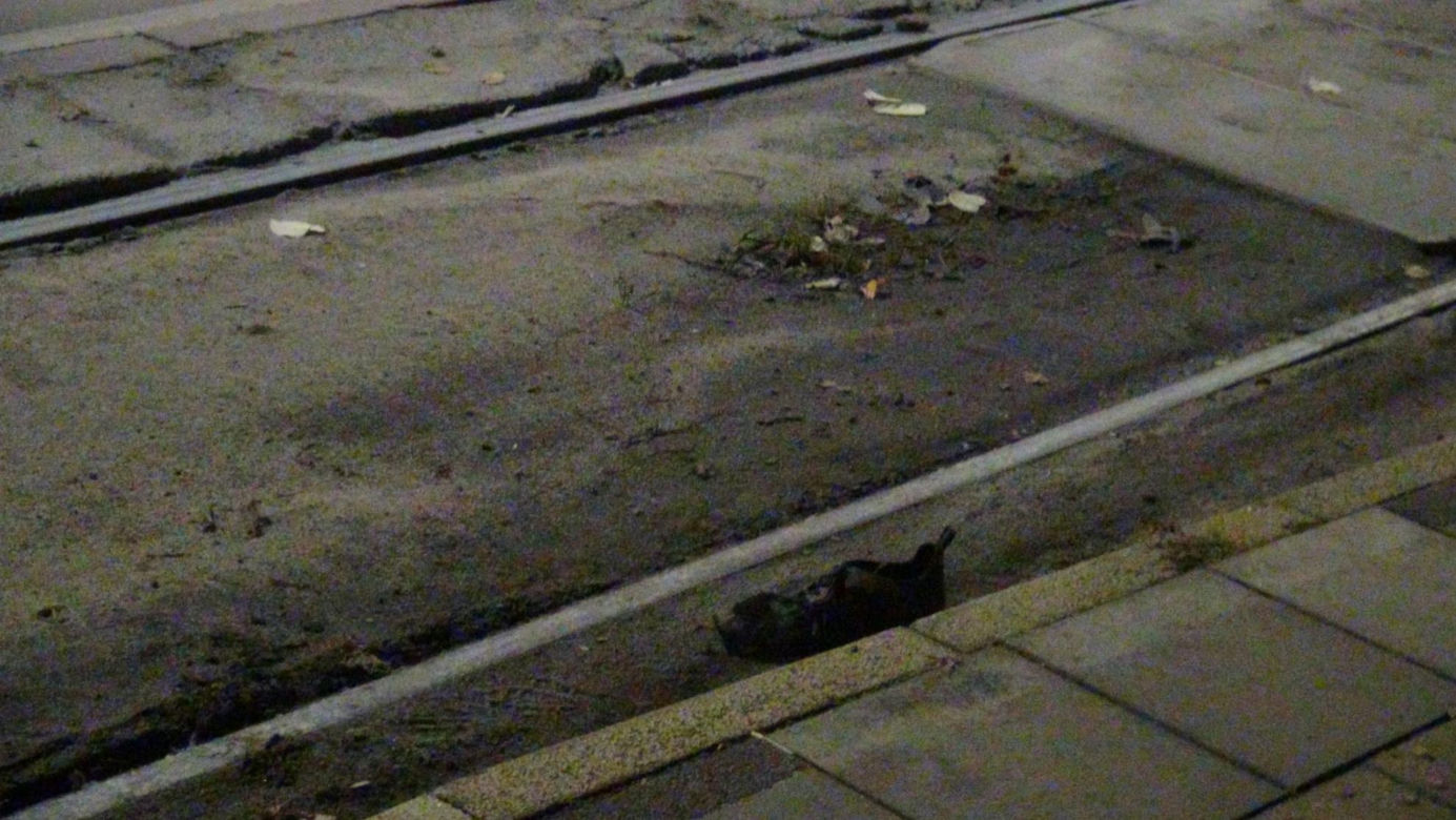 Śmiertelny wypadek na al. Waszyngtona. Tramwaj potrącił pieszego