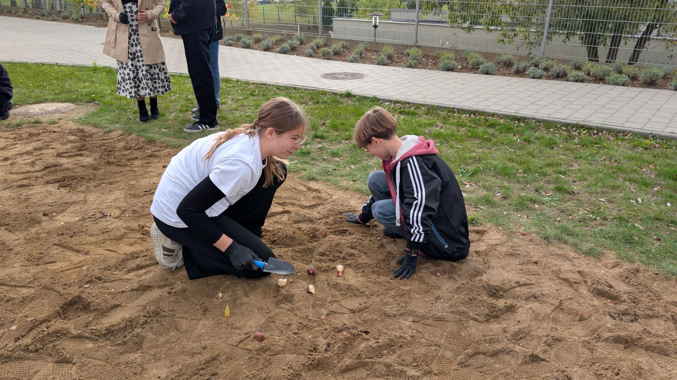 Piąta edycja akcji "Tulipany dla hospicjum Via Spei"