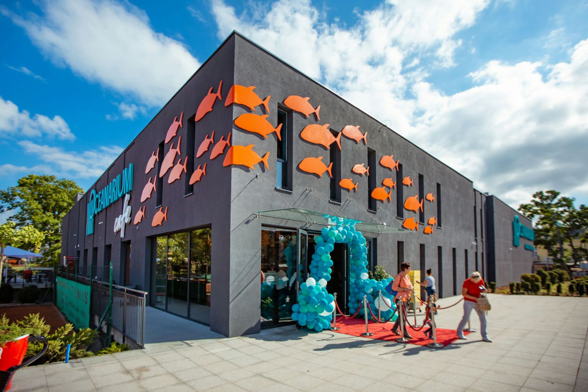 Kasprzyk, Kurowska i Kaliszuk w Oceanarium